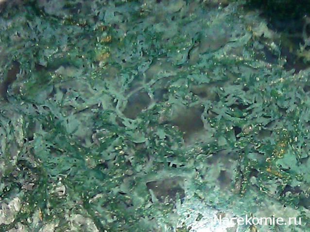 Энергия Камней №74 - Моховой агат