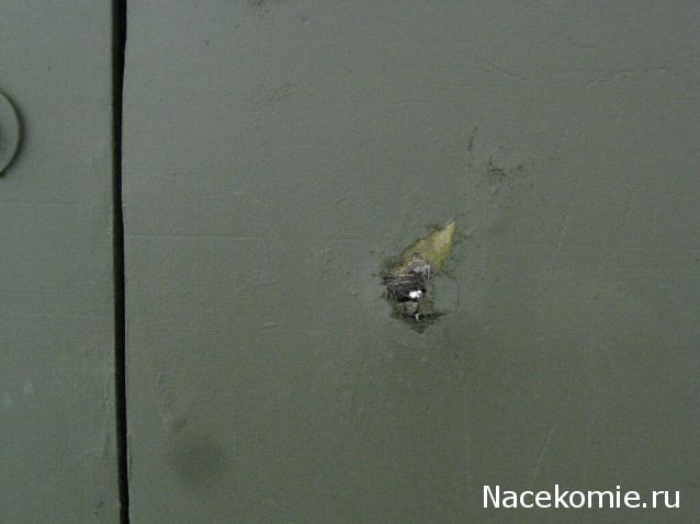 Танкодром (Общая Болталка танковых разделов)