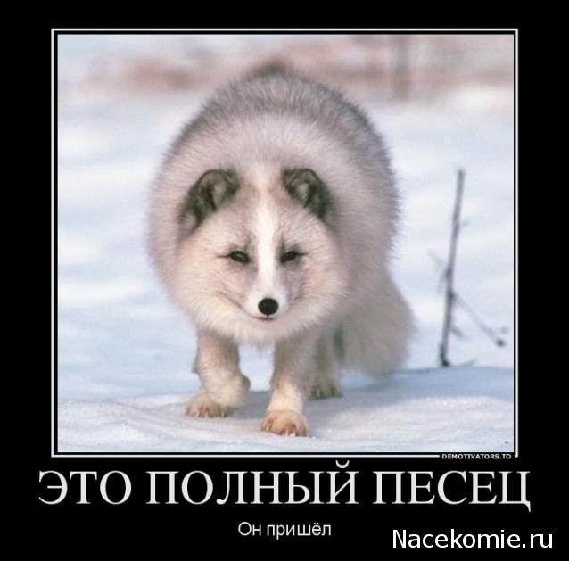 Тракторная болталка