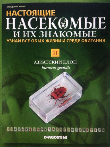 Насекомые и их знакомые Перезапуск 2016 - График выхода и обсуждение