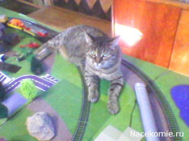 Железная Дорога в Миниатюре - Болталка