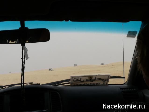 Болталка АЛ и АНС