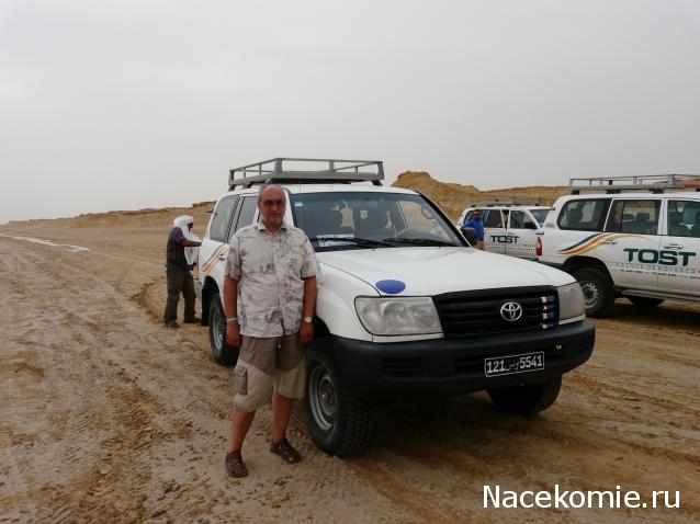 Болталка АЛ и АНС