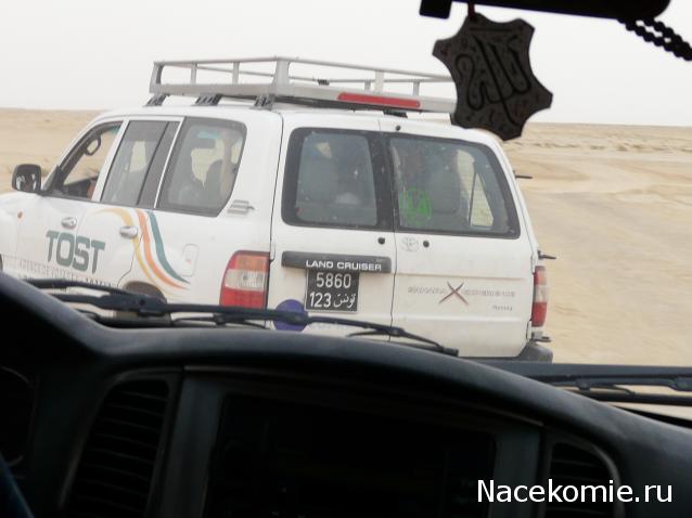 Болталка АЛ и АНС