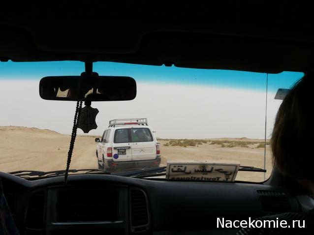 Болталка АЛ и АНС