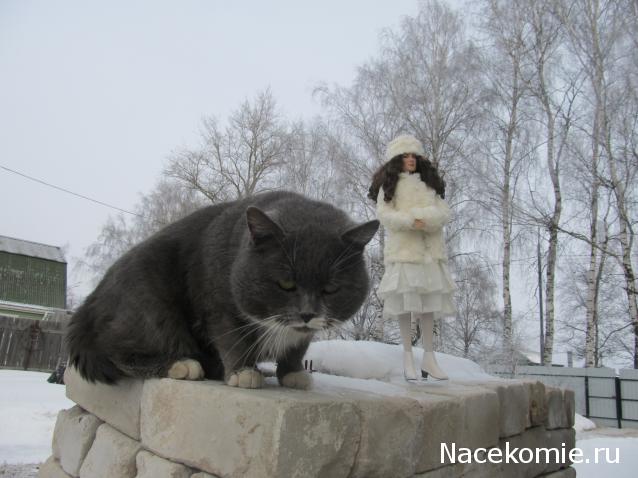 Margaritka. Гасиенда Каса де лос Суэньос