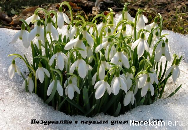 Болталка или кукольные посиделки