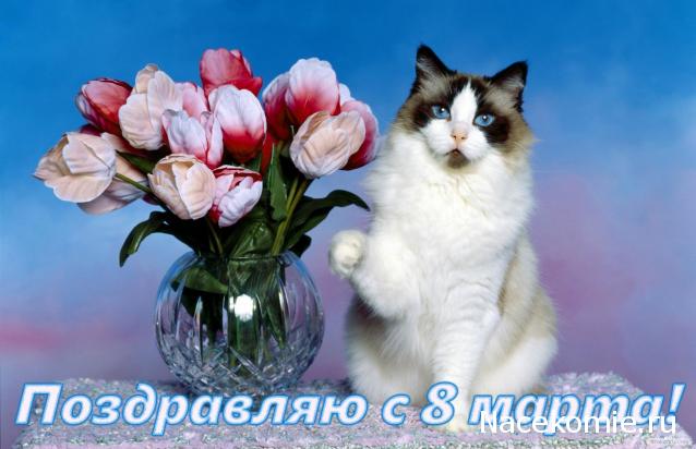 Дамы эпохи - Болталка №2 (соседняя палата)