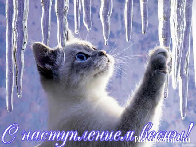 Дамы эпохи - Болталка №2 (соседняя палата)