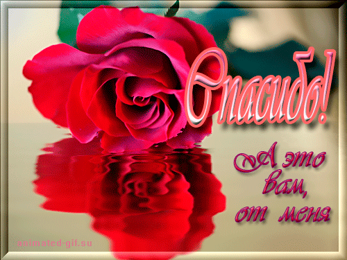 ElenaG - Первый шаг