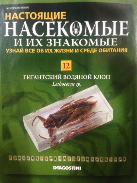 Насекомые и их знакомые Перезапуск 2016 - График выхода и обсуждение