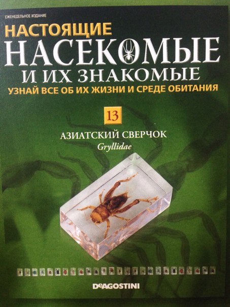 Насекомые и их знакомые Перезапуск 2016 - График выхода и обсуждение