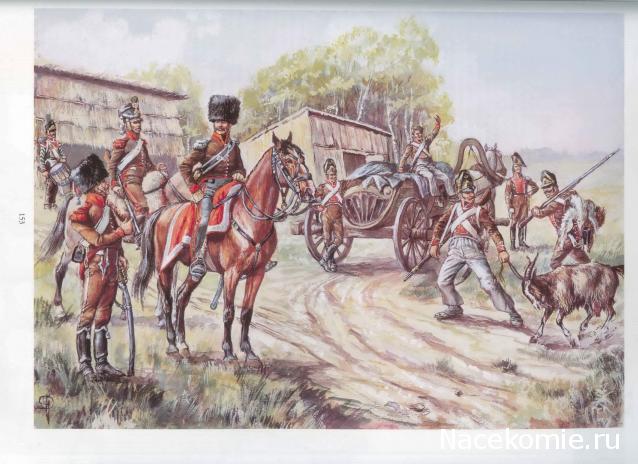 Обоз 1812 года