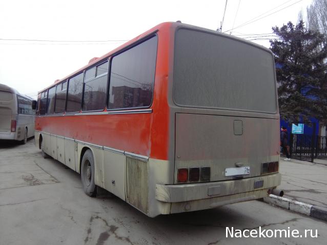 Автолегенды вживую