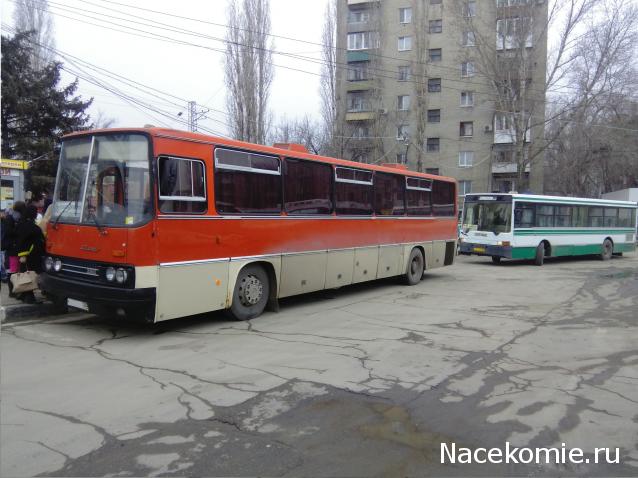 Автолегенды вживую