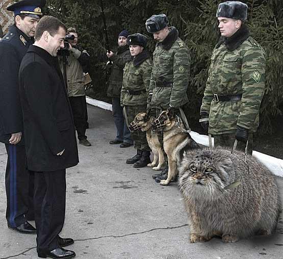 Ратник