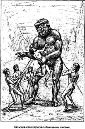 Наполеоновские Войны - График выхода и обсуждение