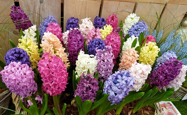 Наши Дни Рождения