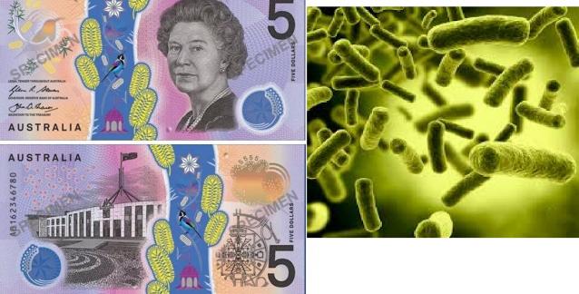 Иностранные монеты и банкноты