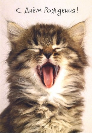 IceGalina - И я с вами!