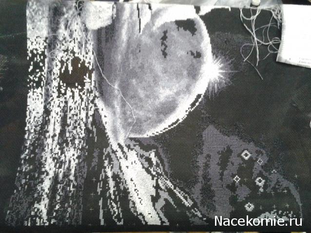 100 крестиков!