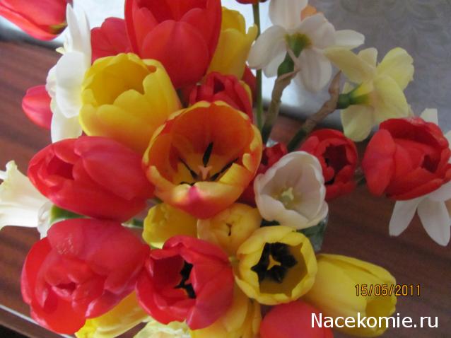 Наши Дни Рождения