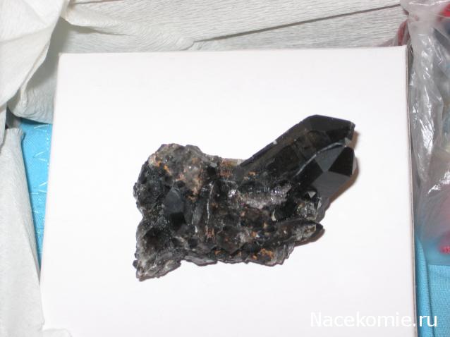 ИГРА "ВЕСНА-КРАСНА".