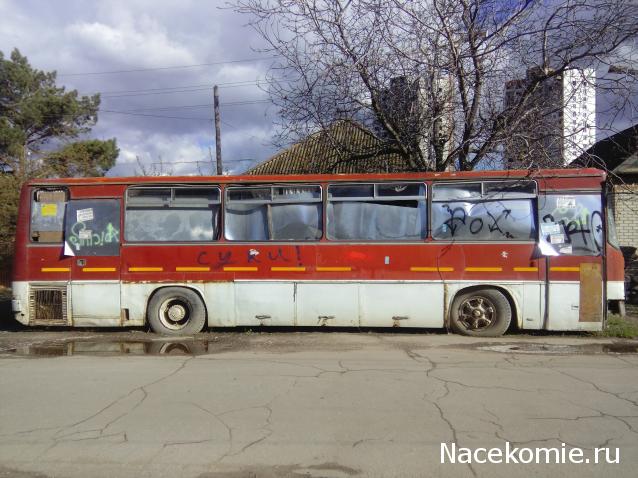 Автолегенды вживую