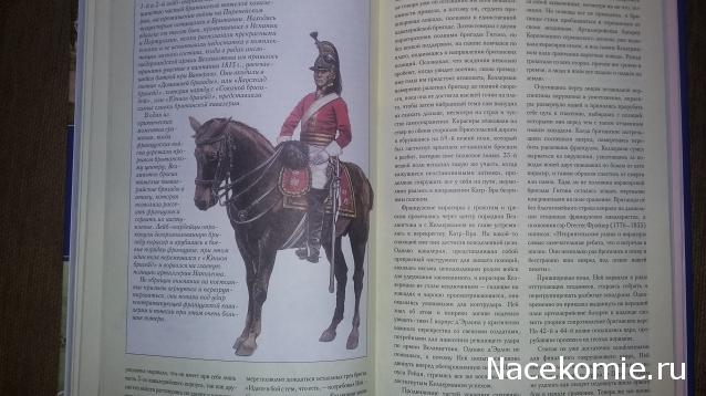 Книжная полка