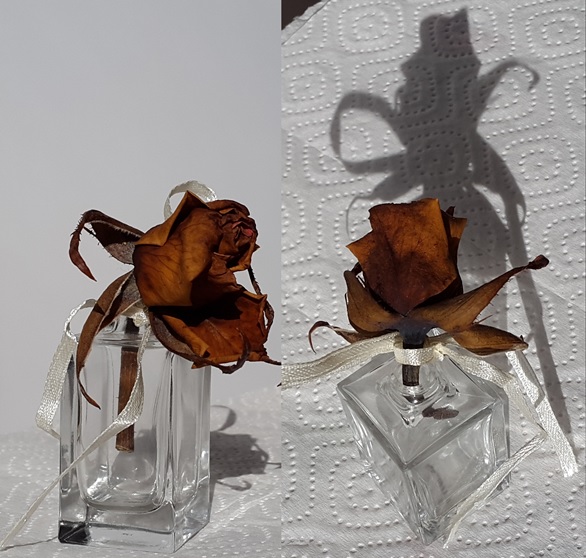 Железная Дорога в Миниатюре - Болталка