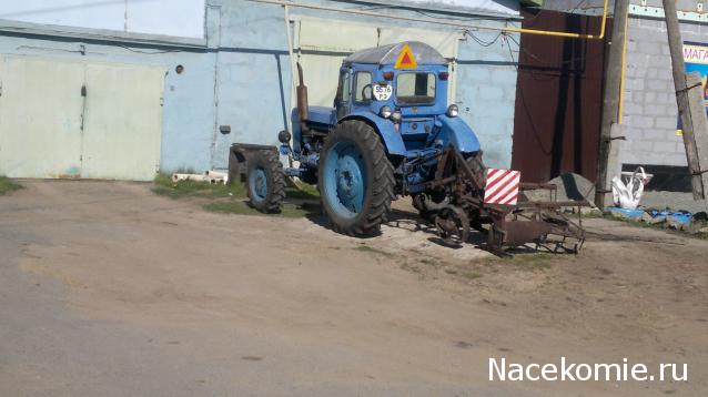 Автолегенды вживую