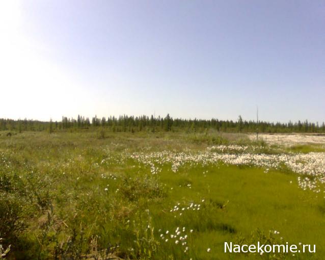 Мой любимый город или дорогие сердцу места