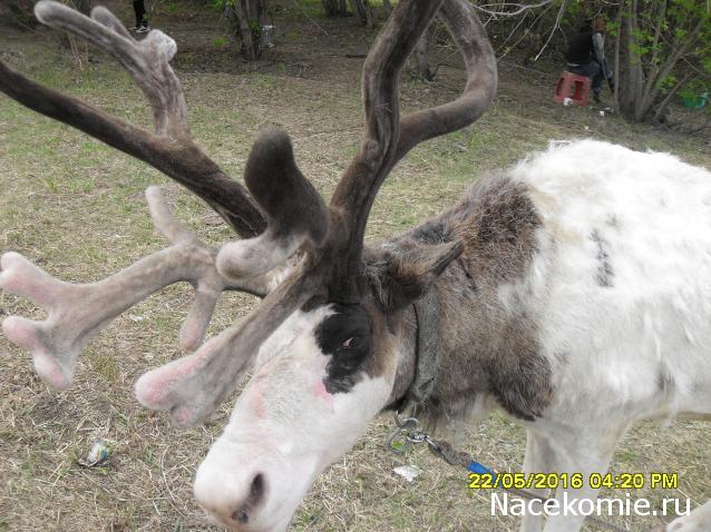 Мой любимый город или дорогие сердцу места