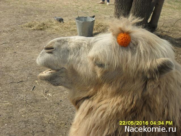 Мой любимый город или дорогие сердцу места