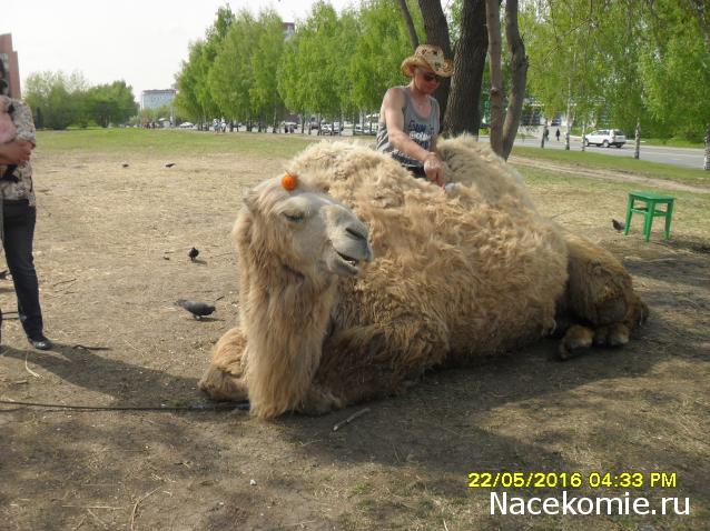 Мой любимый город или дорогие сердцу места