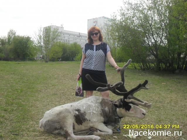 Мой любимый город или дорогие сердцу места