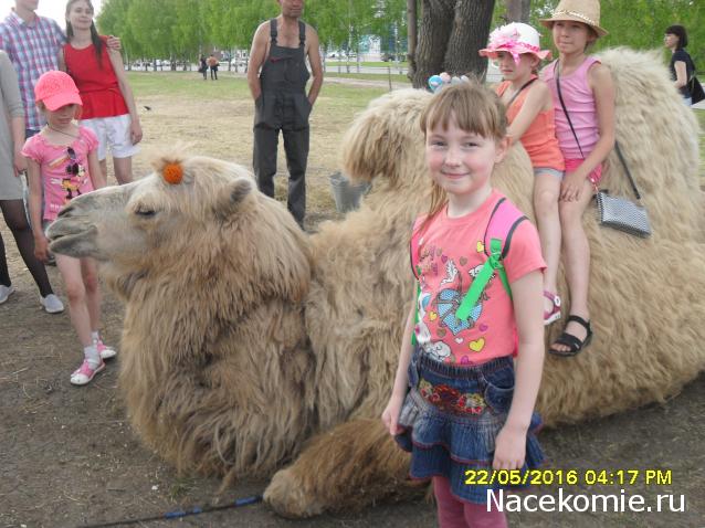 Мой любимый город или дорогие сердцу места