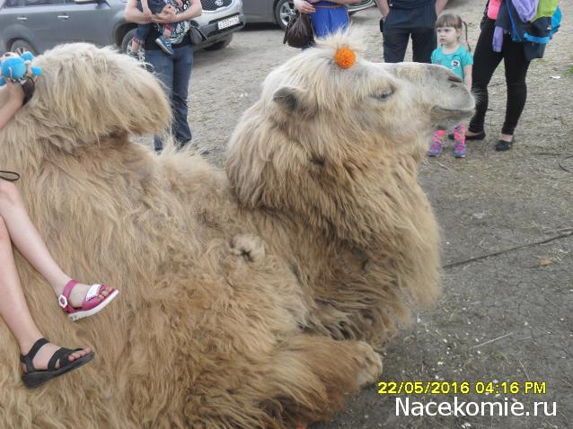 Мой любимый город или дорогие сердцу места