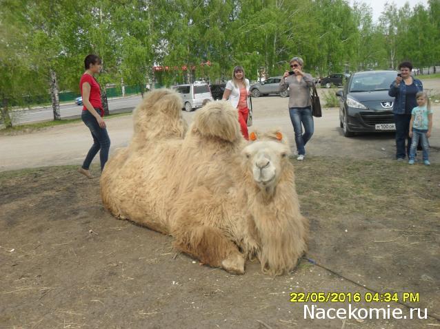 Мой любимый город или дорогие сердцу места
