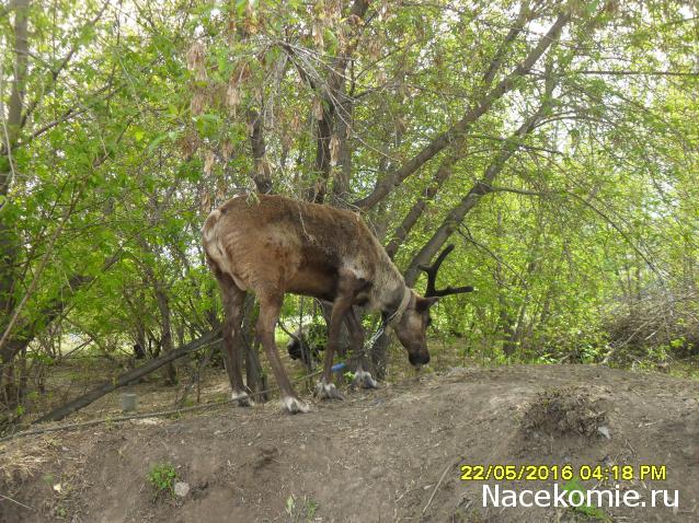 Мой любимый город или дорогие сердцу места