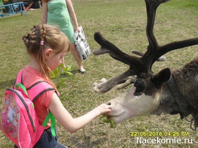 Мой любимый город или дорогие сердцу места