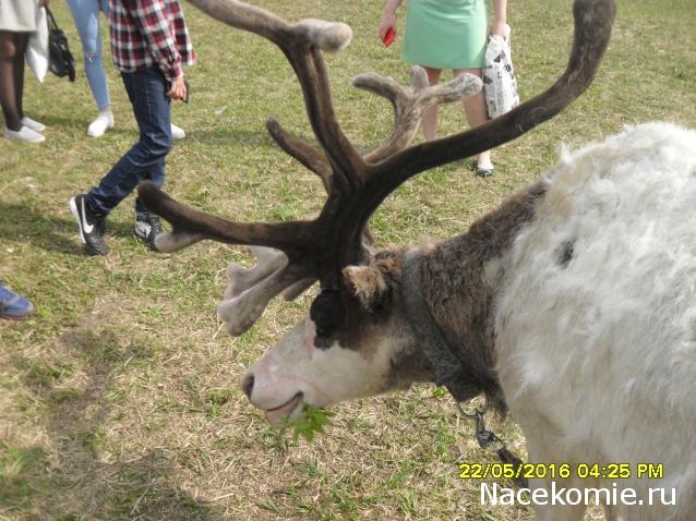 Мой любимый город или дорогие сердцу места