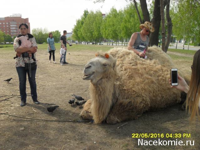 Мой любимый город или дорогие сердцу места