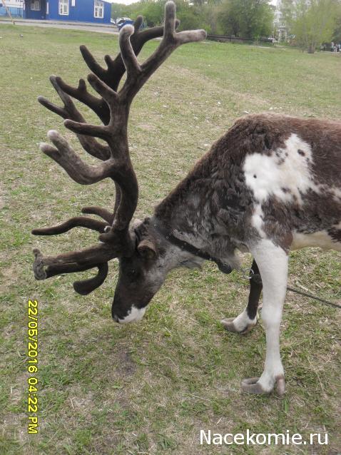 Мой любимый город или дорогие сердцу места