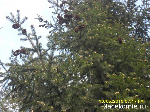 Мой любимый город или дорогие сердцу места