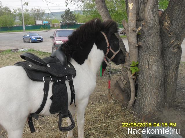 Мой любимый город или дорогие сердцу места