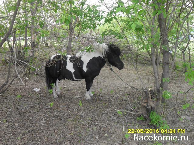 Мой любимый город или дорогие сердцу места