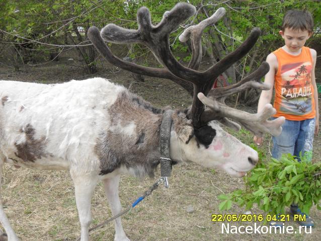 Мой любимый город или дорогие сердцу места