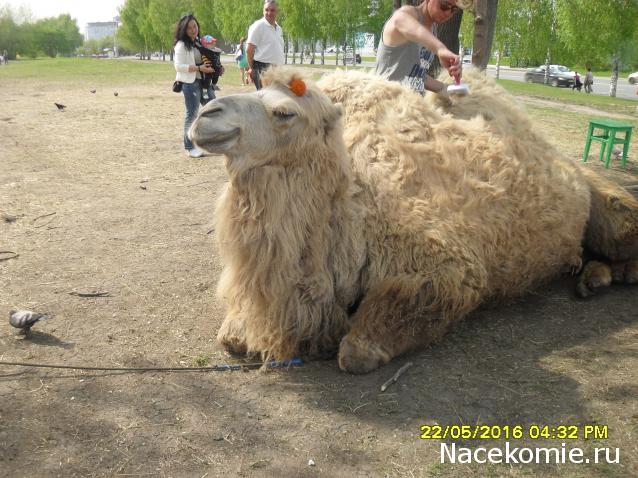 Мой любимый город или дорогие сердцу места