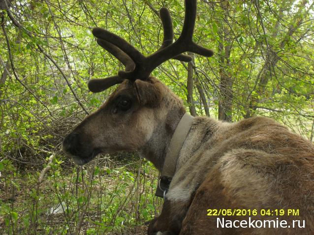 Мой любимый город или дорогие сердцу места